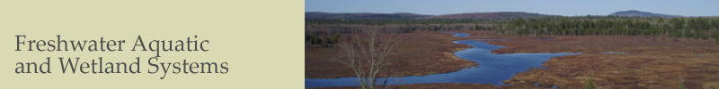 Ecosystem Studies - Freshwater Aquatic & Wetlands