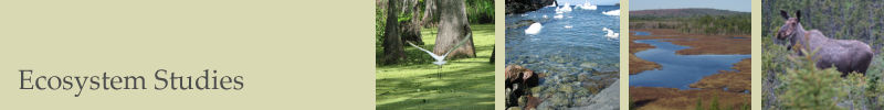 Ecosystem Studies