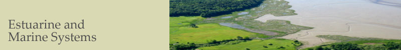 Ecosystem Studies - Estuarine & Marine