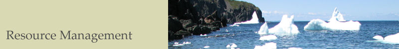 Resource Management - Local Context