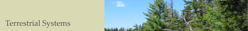 Ecosystem Studies - Terrestrial
